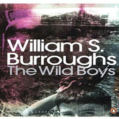 The Wild Boys by William S. Burroughs Paperback Book 9780141189833