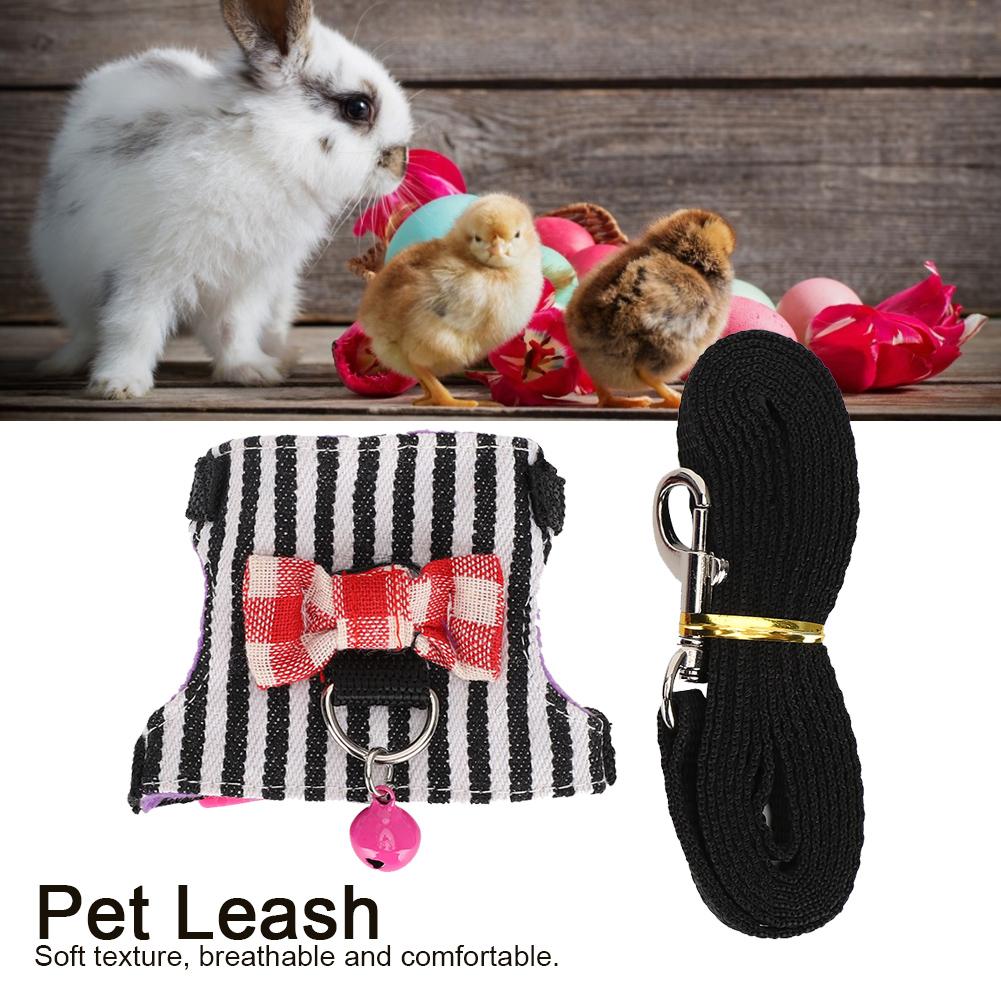Small Pet Animal Leash Harness Set Comfortable Chest Strap Traction Vest for Ferret Chinchilla  