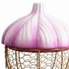 Basket for Storing Eggs, Ginger, And Other Foods. Decorative Portable with Handles.