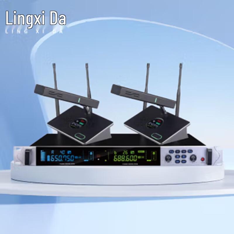 

LINGXIDA Professional Dual-Channel Wireless Microphone (CN version)