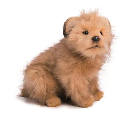 HANSA Norfolk Terrier č.4126