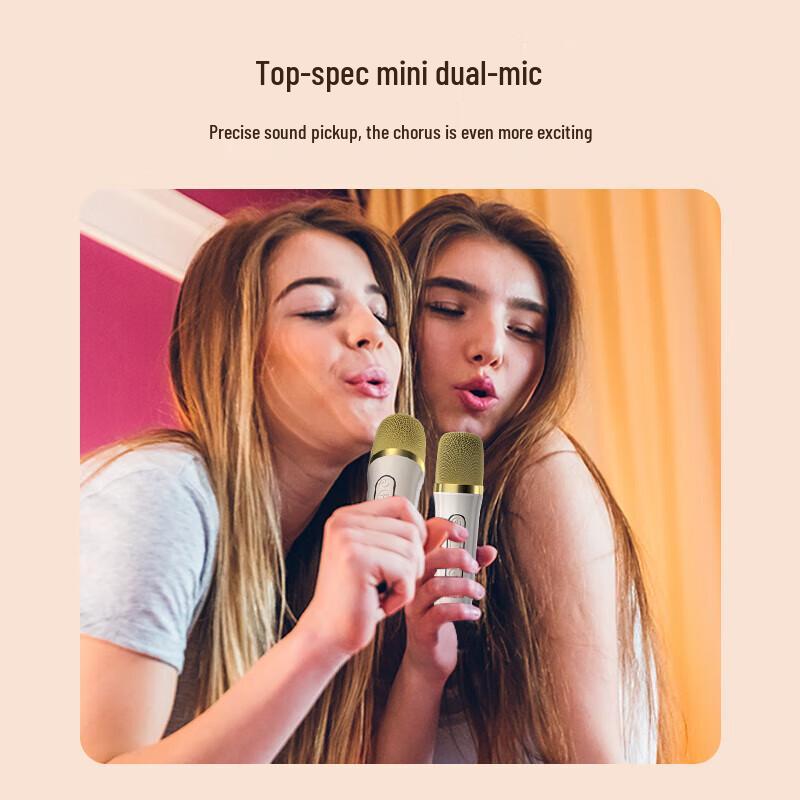 Newman MC76 Wireless Home KTV Audio System