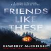 Friends Like These by Kimberly McCreight Paperback Book 9781472292988