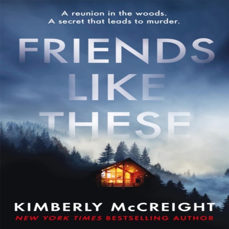 Friends Like These by Kimberly McCreight Paperback Book 9781472292988