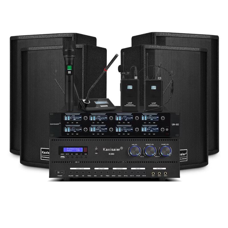 KAXISAIER Professional Conference Audio System CN plug (adapter included)