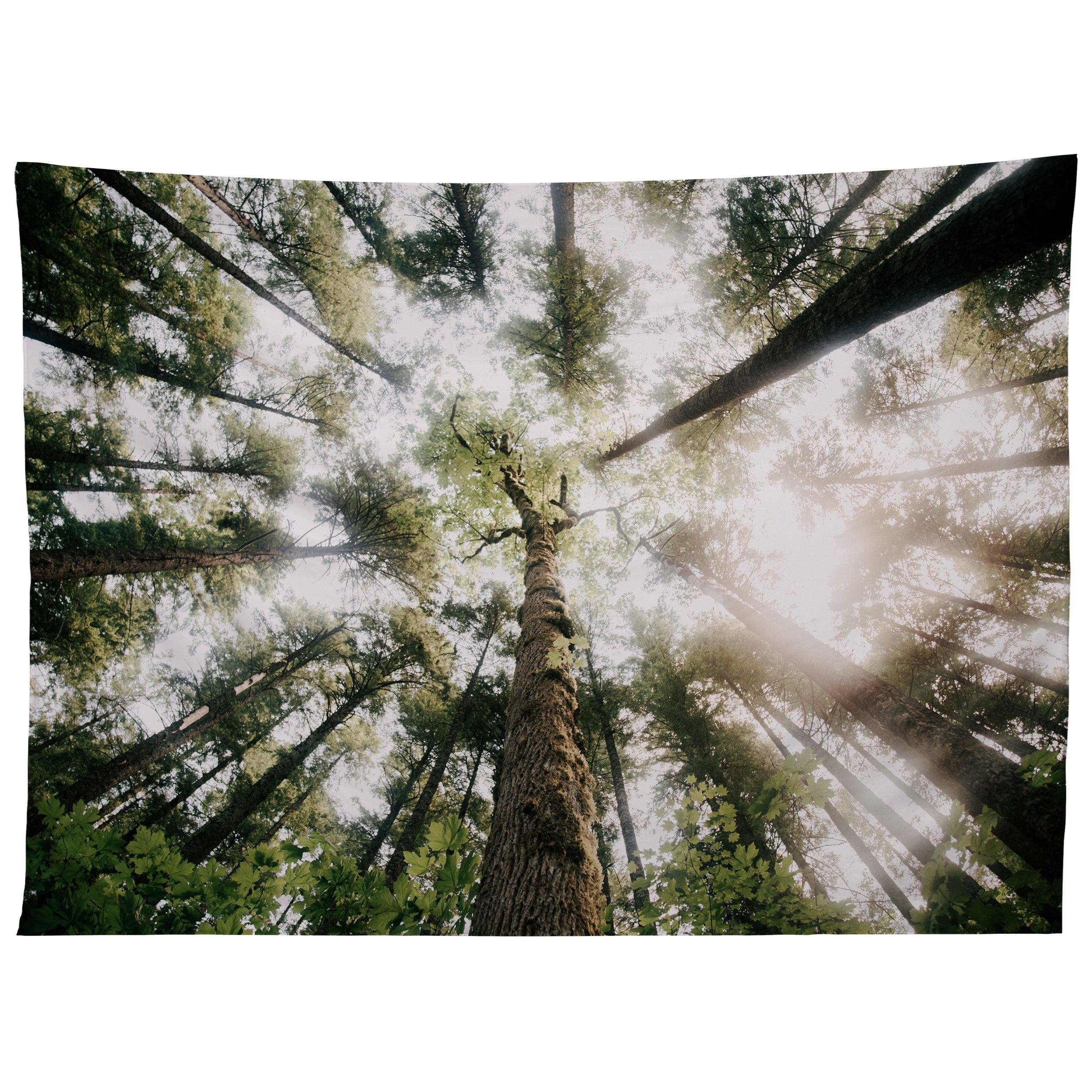 LOOKING UP tapestry 75x100