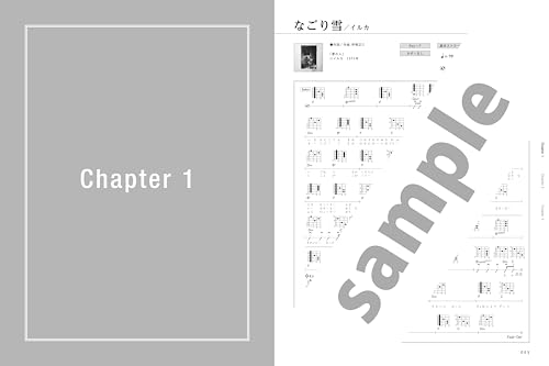 A selection of classic Japanese songs to sing along to - Acoustic Guitar Magazine Selection (Rittor Music Mook)