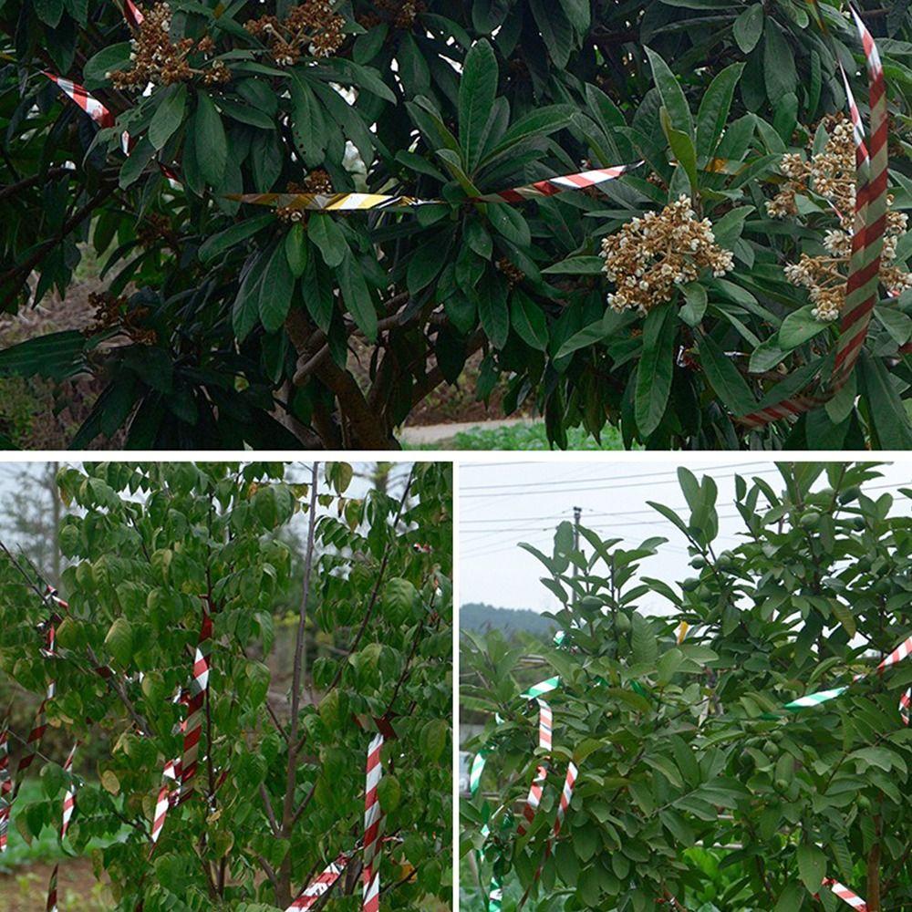 50M/100M/300M Double-sided Reflective Bird Repellent Ribbon Flashing Hanging Multipurpose Anti Bird Tape Adhesive-free