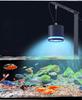 Eco-Friendly LED Aquarium Spotlight with COB Lighting for Fish Tanks & Aquatic Plants