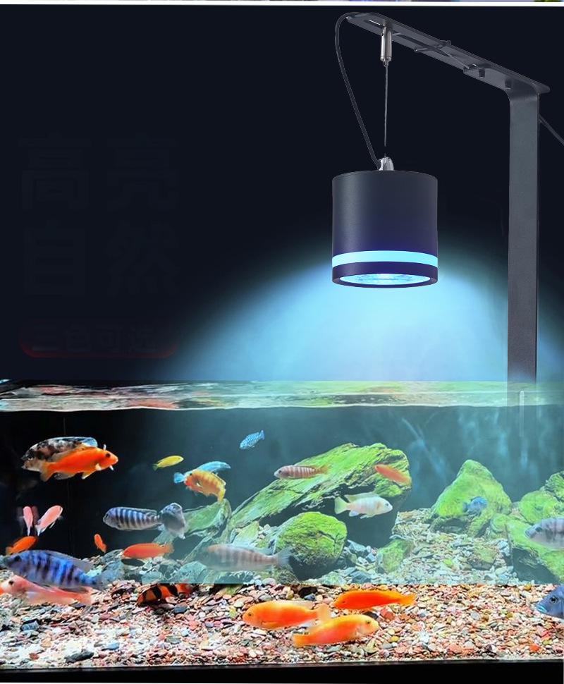 Eco-Friendly LED Aquarium Spotlight with COB Lighting for Fish Tanks & Aquatic Plants
