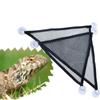 Hanging Pet Accessories Elastic Bearded Dragon Hammock Lizard Bed Reptile Habitat Bird Ladder