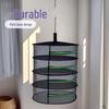 Foldable Hanging Drying Basket for Fruits, Vegetables, and Fish