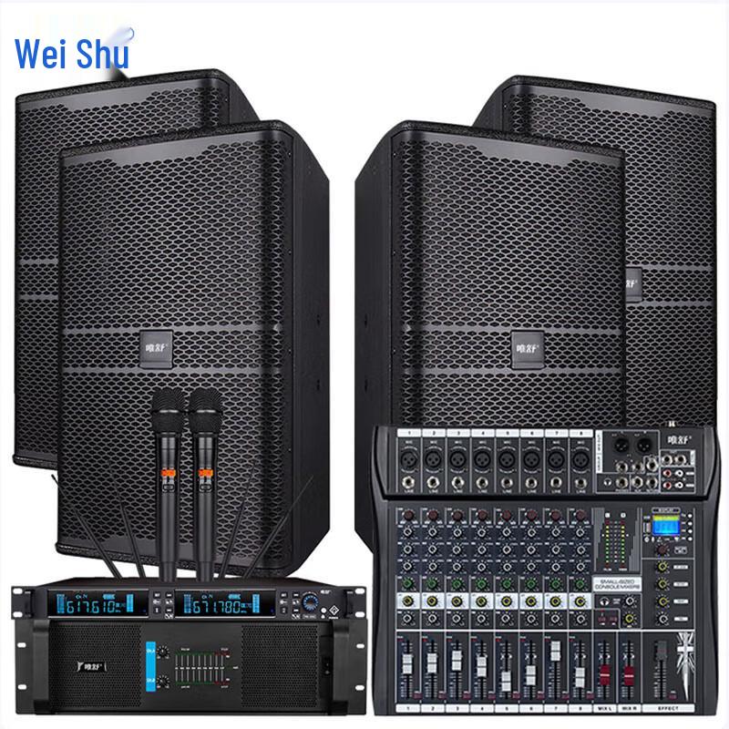 Weishu PC-610A 10-inch Conference & KTV Speaker System CN plug (adapter included)