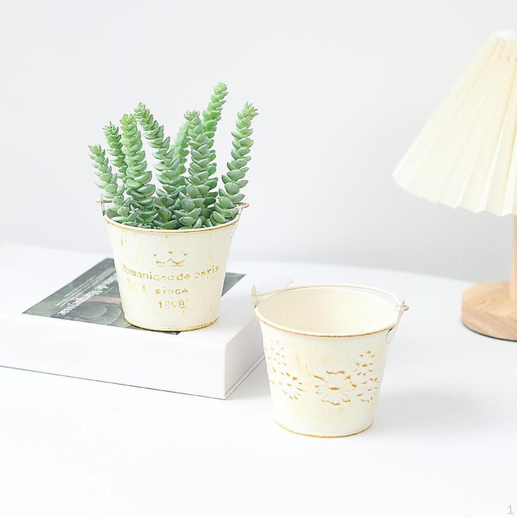 Găleată de fier 10x8cm pentru plantat și uz casnic