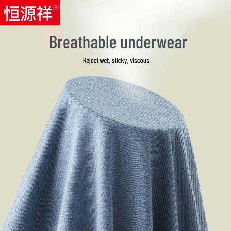 Hengyuanxiang Men's Plus Size Ice Silk Boxer Briefs