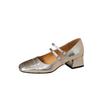 Internet celebrity French retro silver single shoes women thick heel 2025 spring and autumn square head light mouth word buckle Mary Jane shoes women