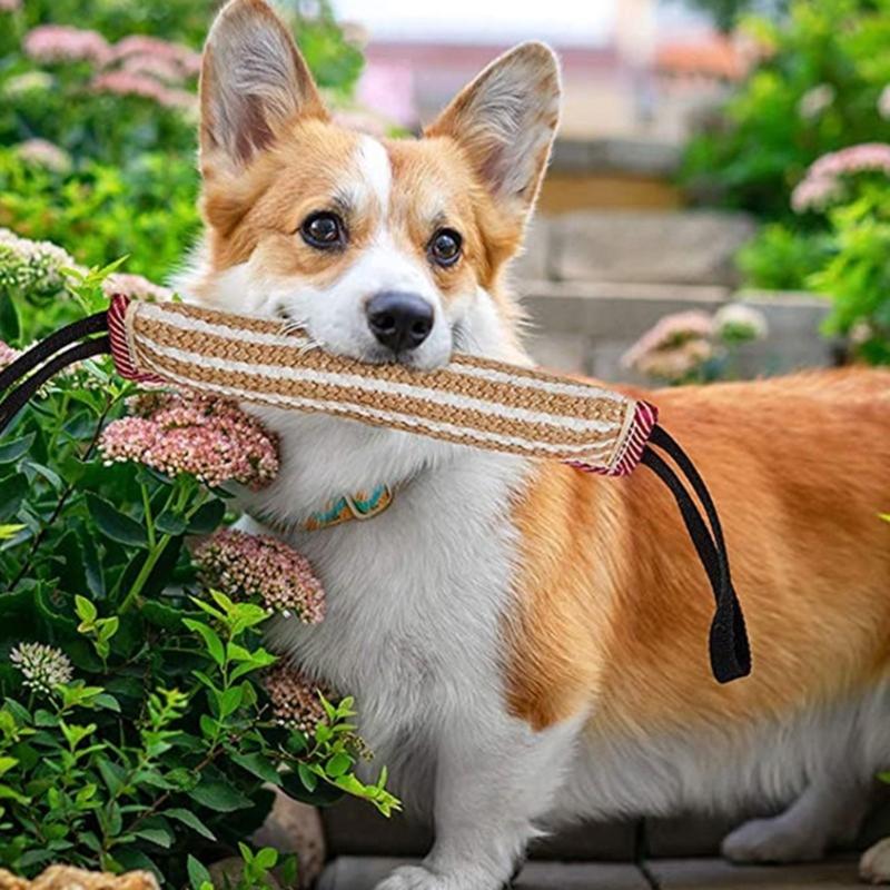 Durablity and Tear Resistant Dogs Tug Toy Training Chew Toy for Indoor and Outdoor Training Great for Large Dog Breeds