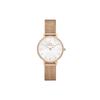Watch Quartz Movement Stainless Steel Strap 28mm White Dial Women's Watch 30 Meters Waterproof DW00100673