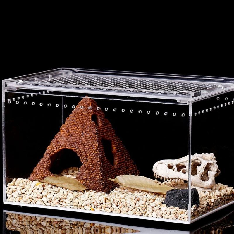 Reptile Box Feeding Small Pet Horned Spider Lizards Snail Snake Clear Designed Box Geckos Silkworms Insect Snake House