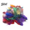 Feather Decorations for Colors 4.5-10cm Natural Chicken Guineahen Feathers Crafts 50Pcs Tail Bright Colored DIY
