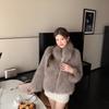 Winter New Environmentally Friendly Fur Stand-up Collar Jacket, High-end Fashionable Warm Thickened Plush Coat