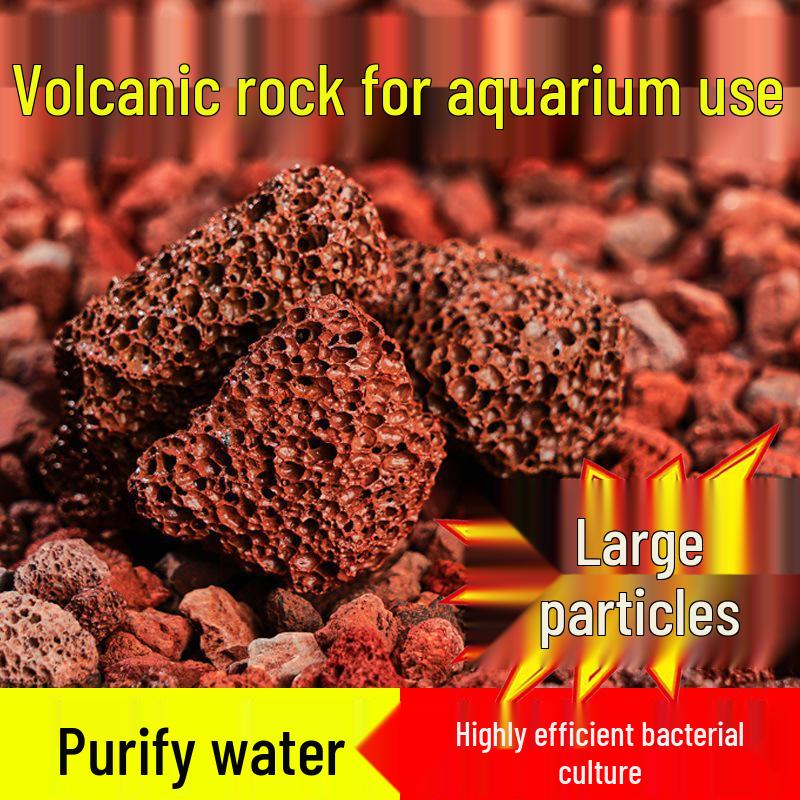 Large Volcanic Rock for Aquarium Landscaping and Filtration