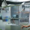 Aquarium Hatching Incubators Large Space Double Layer Transparent Plastic Fish Tank Breeding Isolation