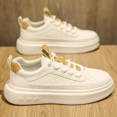Board Shoes Spring and Summer New Sports and Leisure Shoes Thick-soled High-tide Shoes