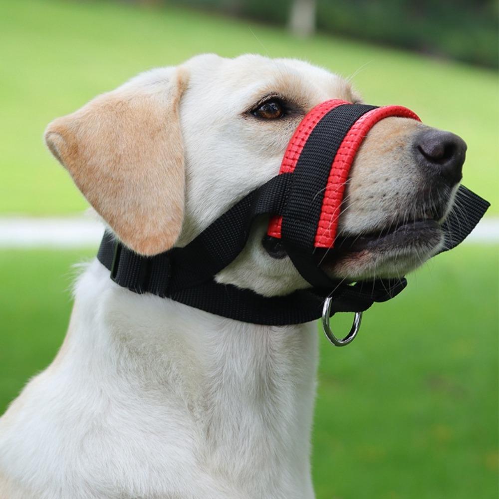 Adjustable Dog Muzzle Prevent Biting and Barking Safety Breathable Pet Muzzle Prevent Accidental Ingestion of  Dog Mouth Cover