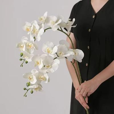 3pcs 3D Phalaenopsis 69cm 9-Heads Home Supply Artificial Flower 3D Phalaenopsis Real Touch Plants Simulation Butterfly Orchid