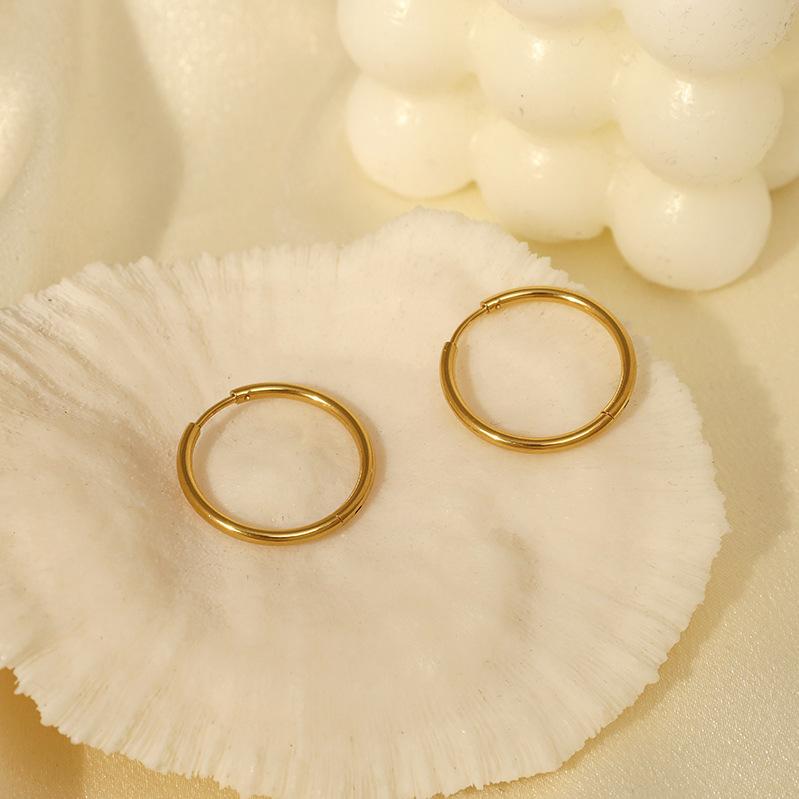 Niche Design Size Circle Light Luxury Temperament Titanium Steel Gold-Plated Earrings Jewelry Women