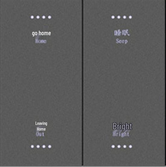 Smart Zigbee Tuya Double Switch with Alexa Voice Control, Aluminum Panel, and 86 Back Box Compatibility