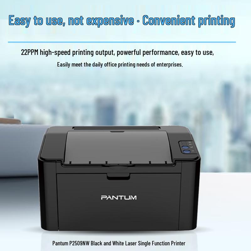 Pantum 22ppm A4 Black and White Laser Printer CN plug (adapter included)