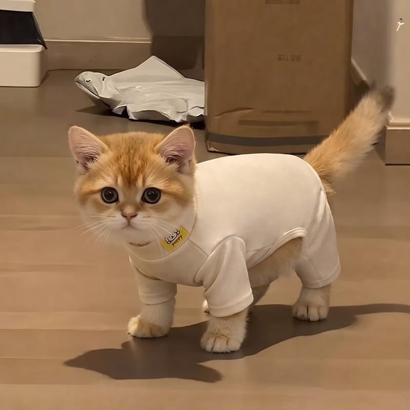 Dog German velvet warm four-legged clothes autumn and winter than bear teddy small dog cat pet bottoming shirt loungewear