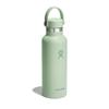 Standard Mouth 18oz (532ml) Stainless Steel Aloe Water Bottle (Official Japanese Product)