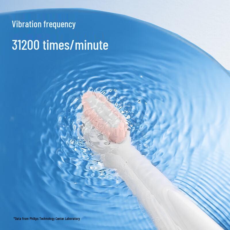Flyco FT7208 Sonic Electric Toothbrush CN Plug (adapter Included)