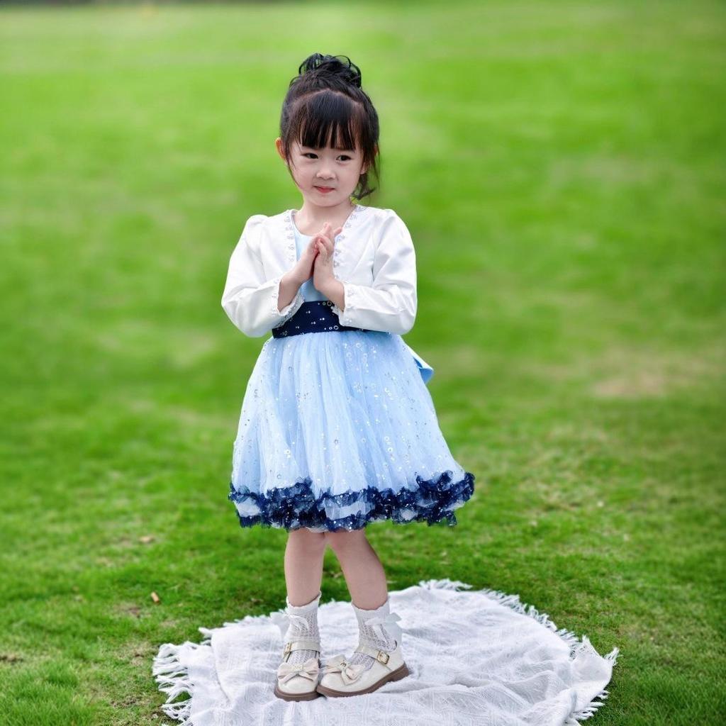 2026 Lente/Herfst Meisjes Lange Mouwen Mesh Rok Prinses Tweedelig Set
