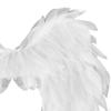 Angel Costume Wings and Headband Accessories Halloween Cosplay