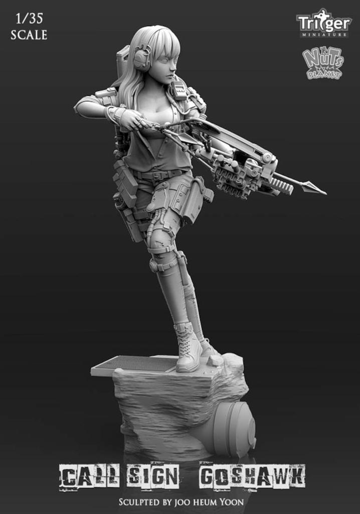 Nuts Planet Call sign is Goshawk Female scout with compound bow Unpainted resin assembly kit T35022 1/35