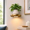 Floating Wall Shelf with Built-in Lights, Modern Plant Display Shelf, -Saving Mount, for Living Room and Bedroom