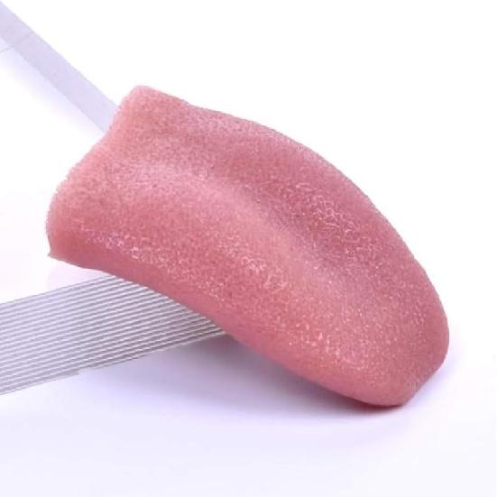 

Funny Realistic Fake Tongue Toys Stretchable Tongue Realistic Magic Tongue Fake Tongue Specially Function for Carnival Halloween Party Magic Tricks Style 1