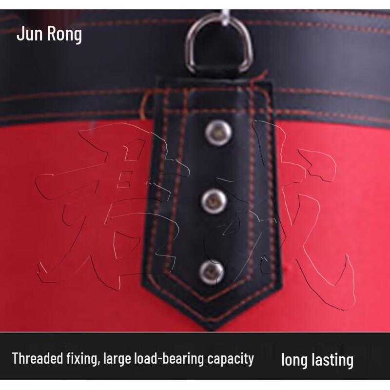 Junrong Combat Sports Punching Bag