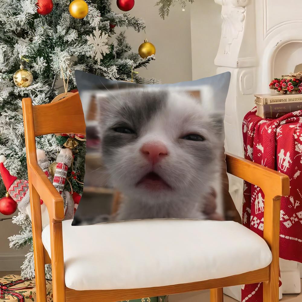 Cat Meme Pillow Case Silky Elegant Comfort Sofa Bed Invisible Zipper 30x30CM(12x12in)
