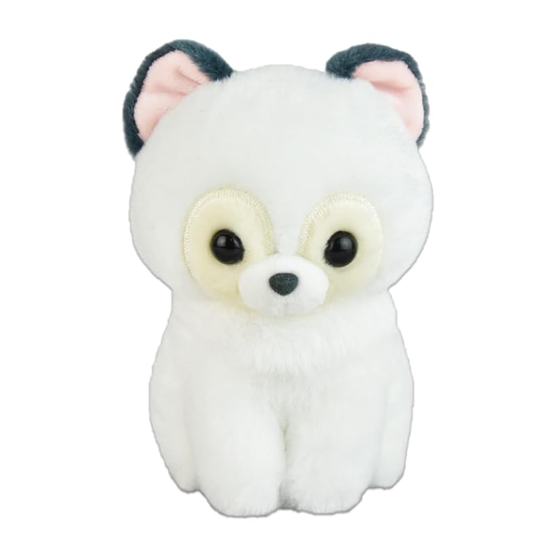 

amuse Popon and raccoon dog ST Yudofu 704641