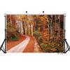 Autumn Tree Forest Trail Photography Background For Photo Studio Props Children Baby Cloth Computer Printed Backdrops Photocall