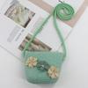2024 Women's Mini Cartoon & Straw Flower Messenger Bags - Cute Beach Accessory
