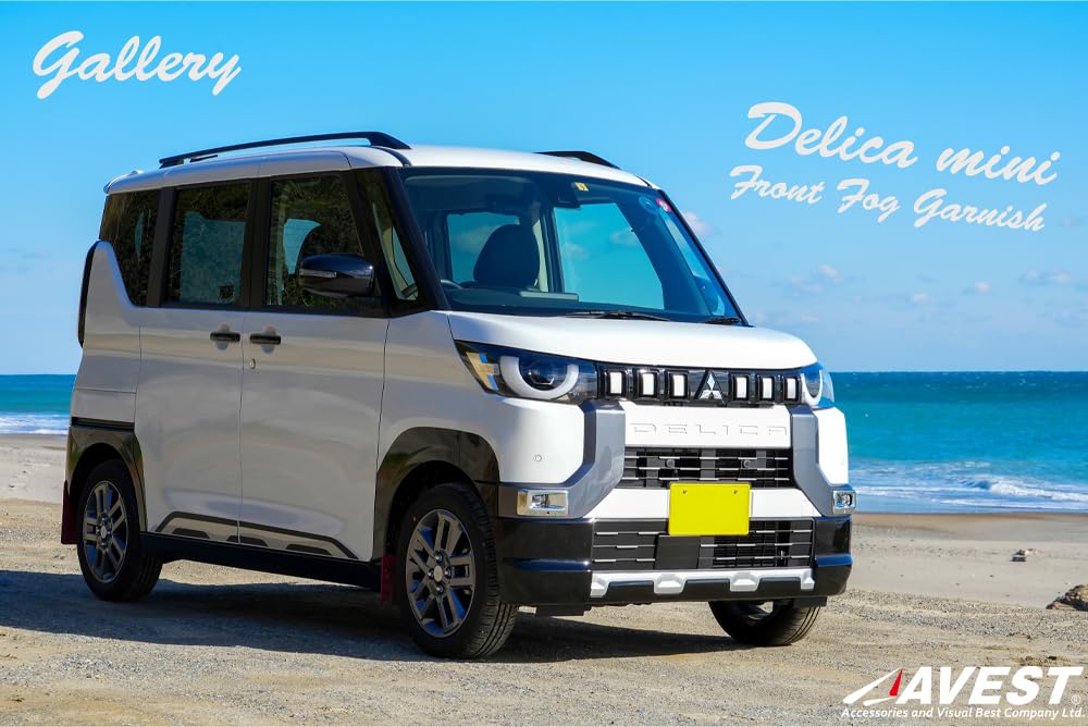 Delica Mini Fog Garnish, 2P Plated, Silver, AVEST DELICA MINI Exterior Part, Fog Light,