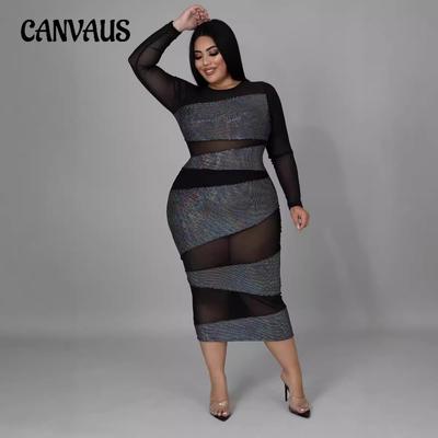 Women's Plus Size Sheer Long Sleeve Dress