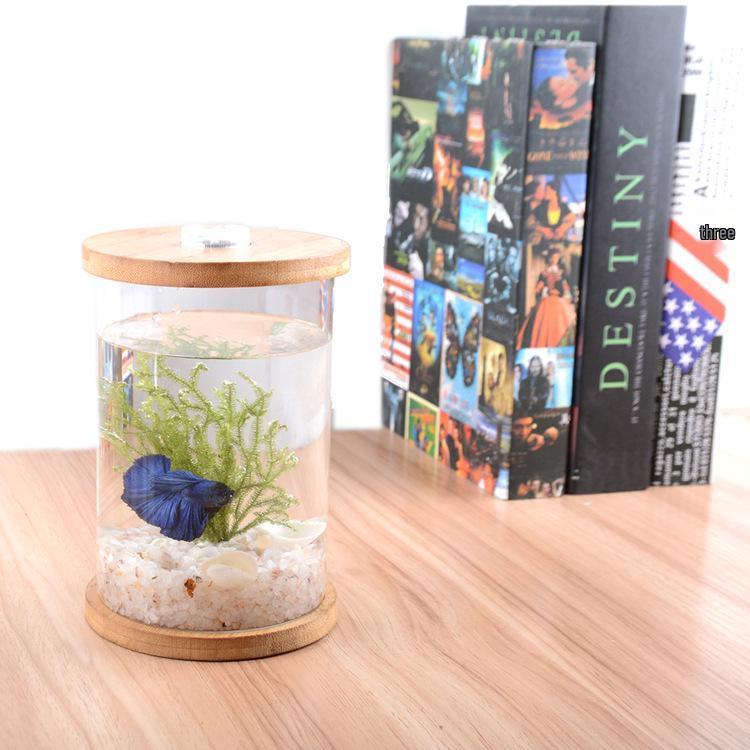Eco-Friendly Mini Fish Micro-Landscape Aquarium: No-Water-Change Desktop Tank for Betta Fish