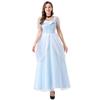 New Adult Ladies Fairy Tale Cinderella Princess Dress Halloween Cosplay Dress